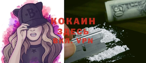 шишки Медвежьегорск