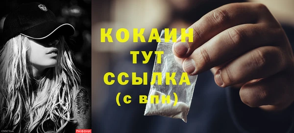 шишки Медвежьегорск