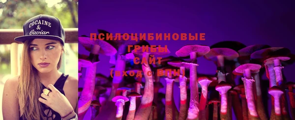 прущая мука Медногорск