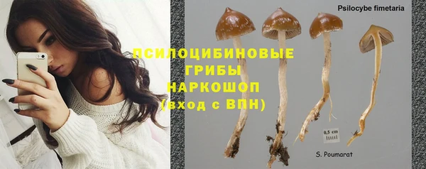 прущая мука Медногорск