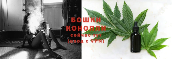 амф Мегион