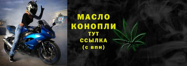 шишки Медвежьегорск