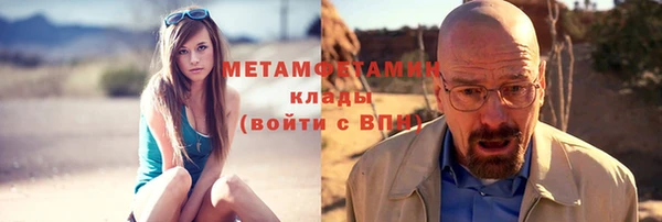 шишки Медвежьегорск