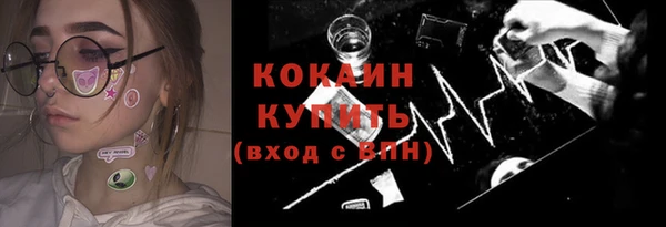шишки Медвежьегорск