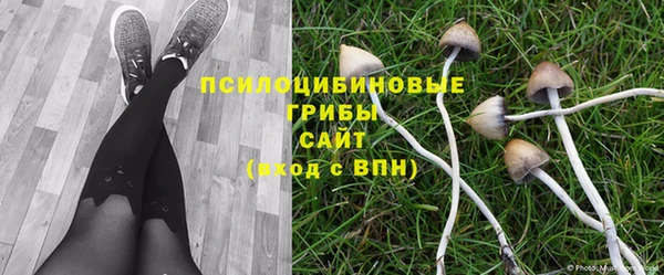 прущая мука Медногорск