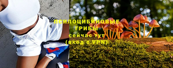 прущая мука Медногорск