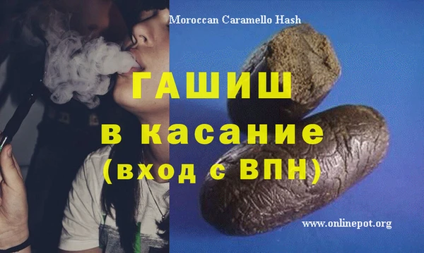 шишки Медвежьегорск