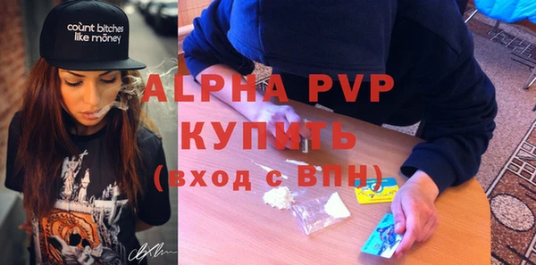 шишки Медвежьегорск