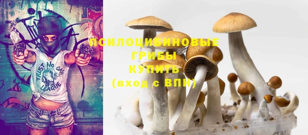 прущая мука Медногорск