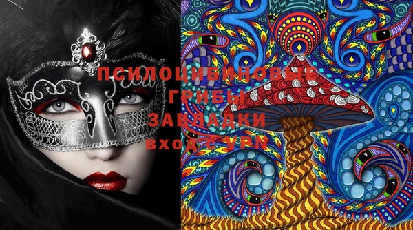 шишки Медвежьегорск