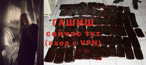 шишки Медвежьегорск