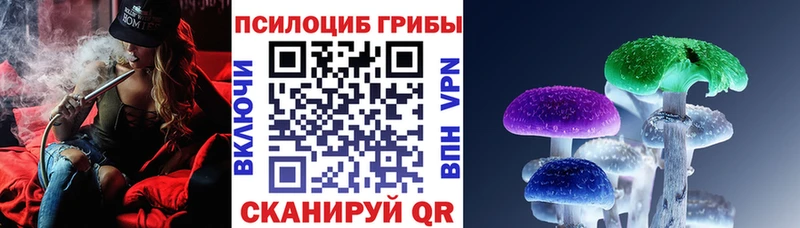где можно купить   Прокопьевск  Псилоцибиновые грибы MAGIC MUSHROOMS 